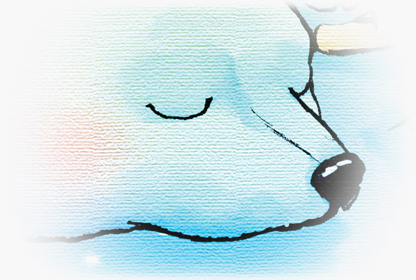 Christmas cards ’07